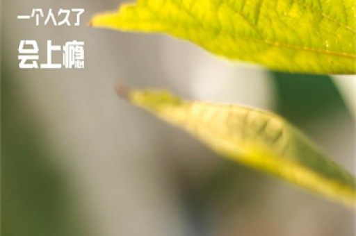 山东舰上歼15T为香港观众遮风挡雨登上网络热搜，如何看待这一情况？