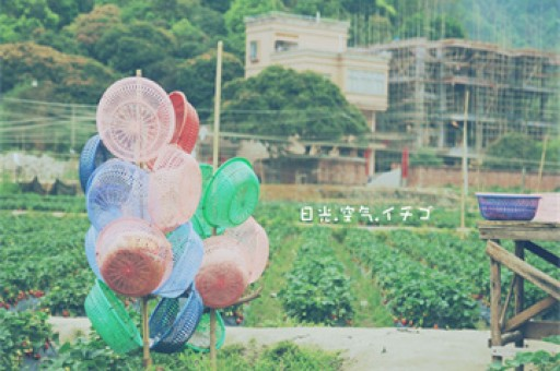 者来女把《玉盘》唱碎了登上热搜，背后的故事更精彩